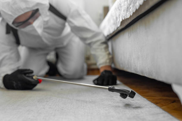 Professional Termite Control technician working in Chula Vista, TX