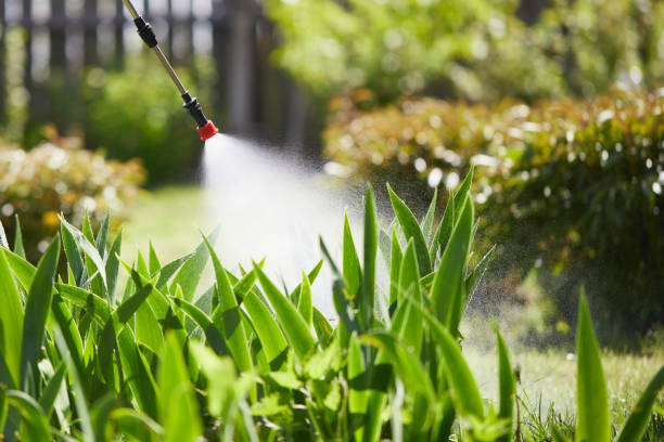 24/7 Emergency Termite Control experts in Chula Vista, TX