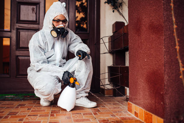 Reliable Termite Control contractor in Chula Vista, TX by Nex Pest Control